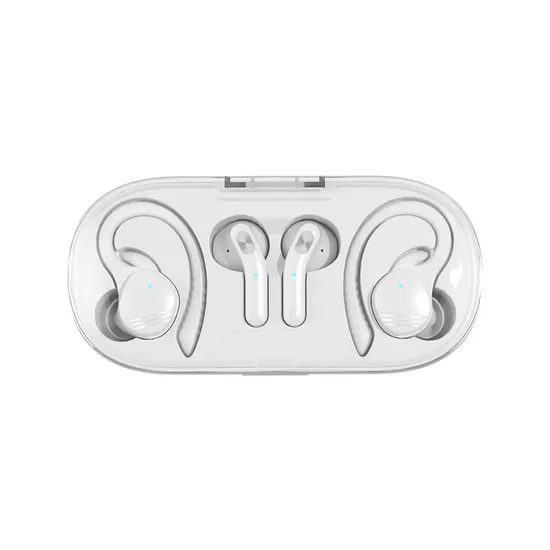 Best New Design Dual Tws Earbuds in